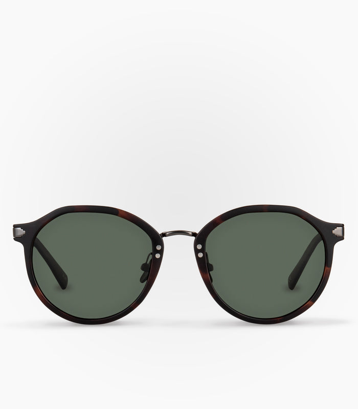 Rainbow Havana Brown