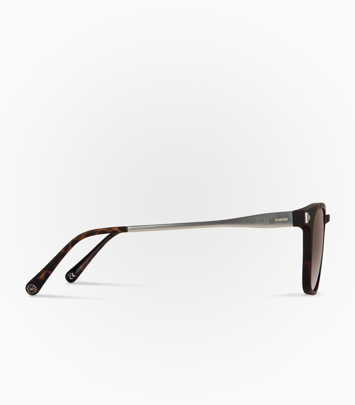 Vizcacha Havana Tortoise