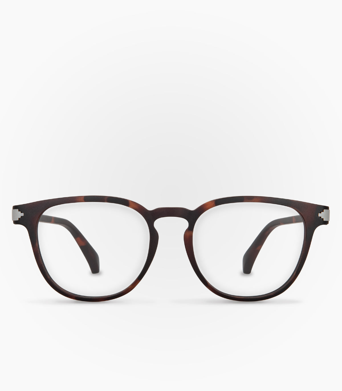 Loica Havana Tortoise