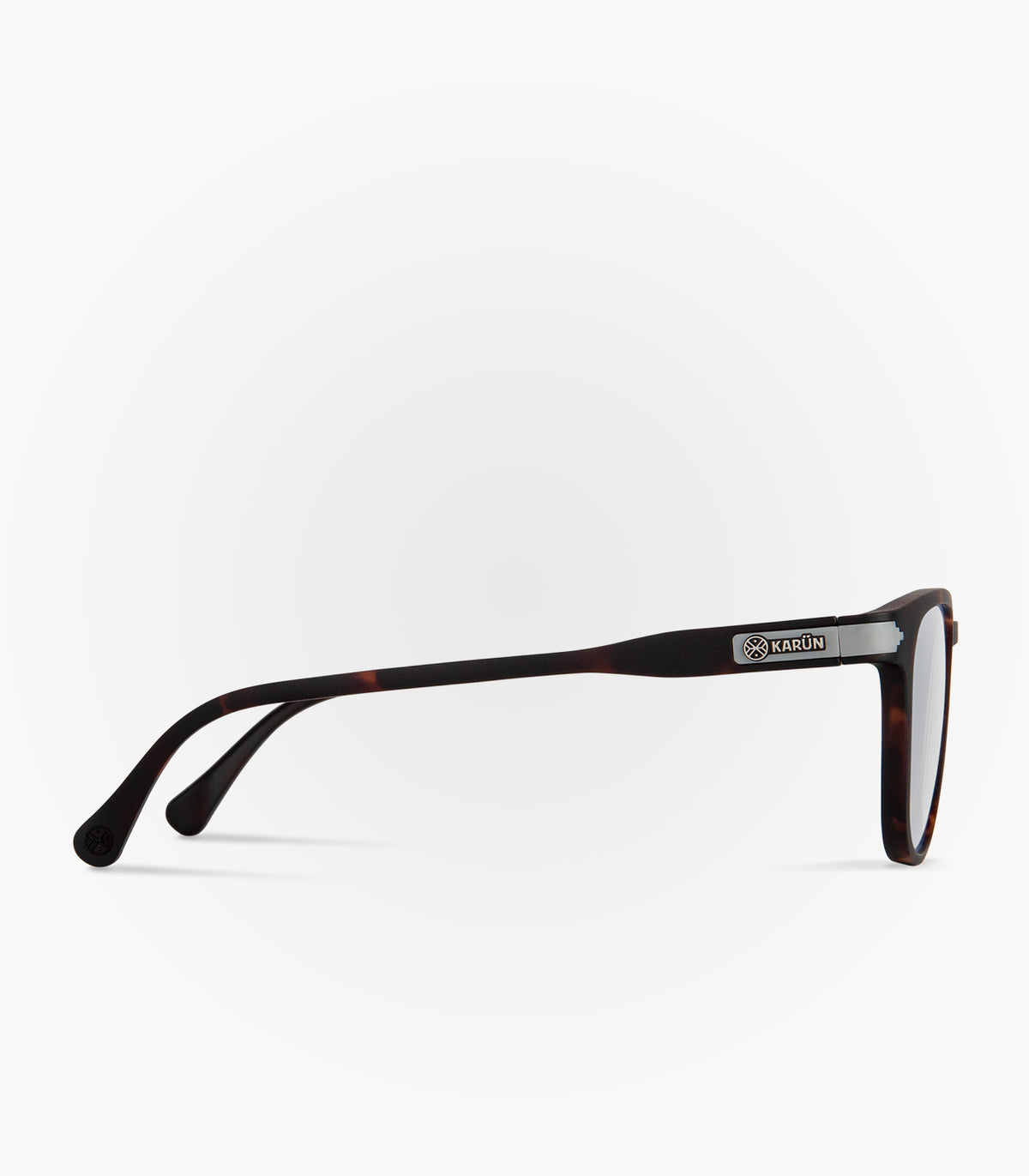 Loica Havana Tortoise