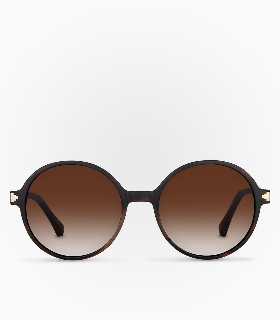 Lentes de Sol Cloud Havana