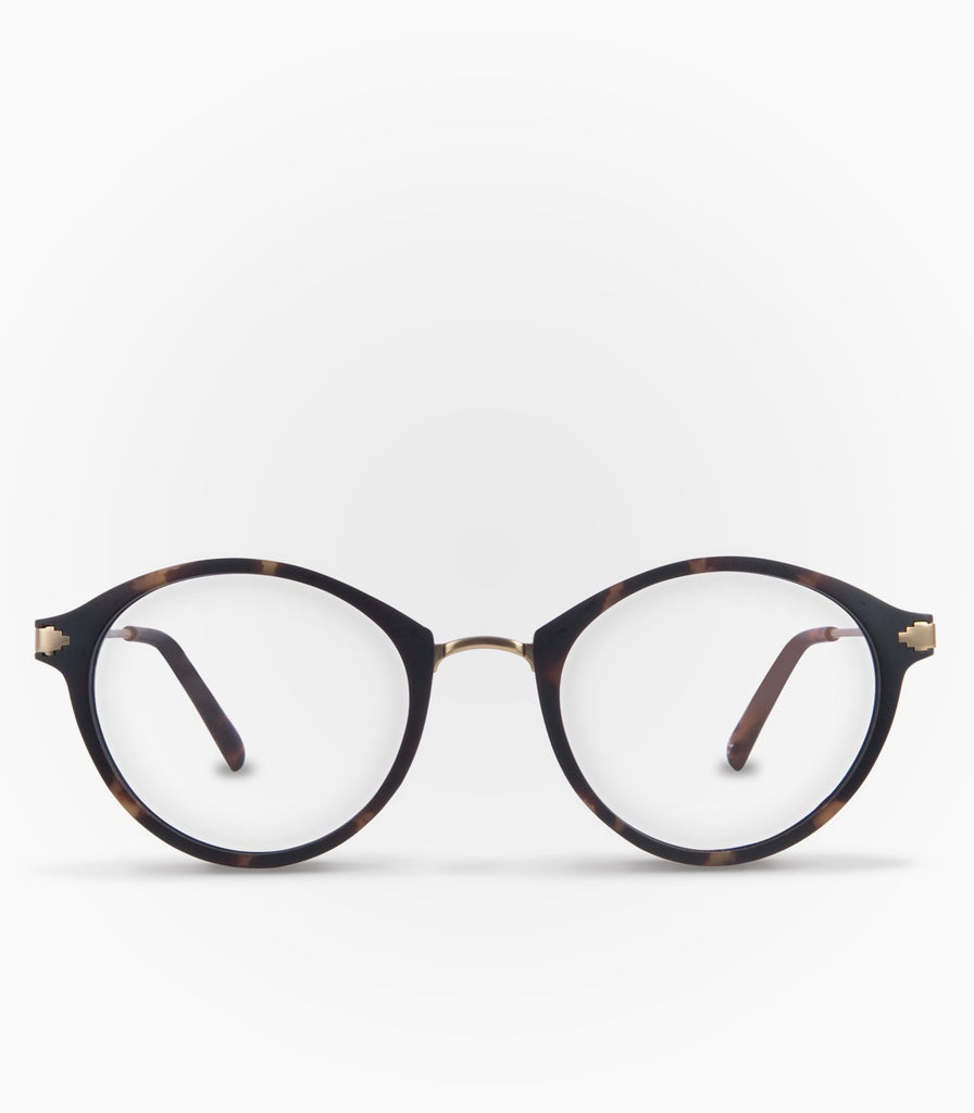 Orca Havana
