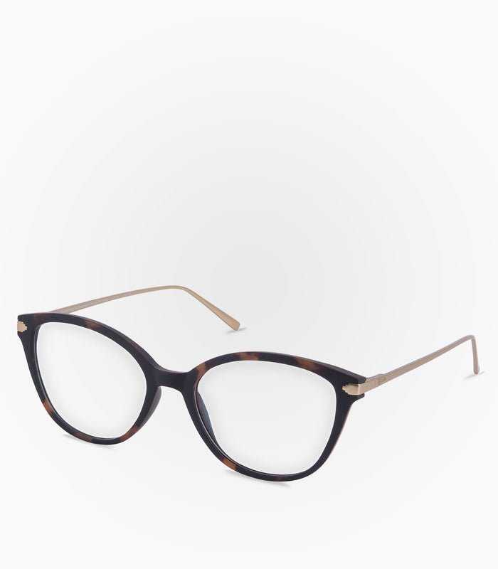 Anteojos Opticos Puma Havana - Karün Latinoamérica - Anteojos Opticos